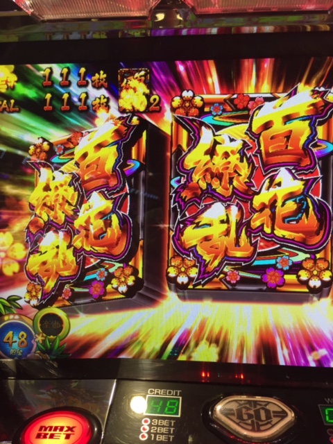 百花繚乱のレグ5連台ゲットして超ハーレム!「4/7パチスロ稼動」
